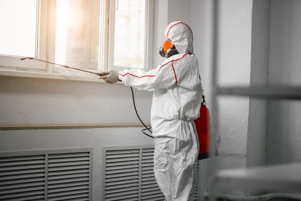 Professional mold remediation services in Jackson Center, OH